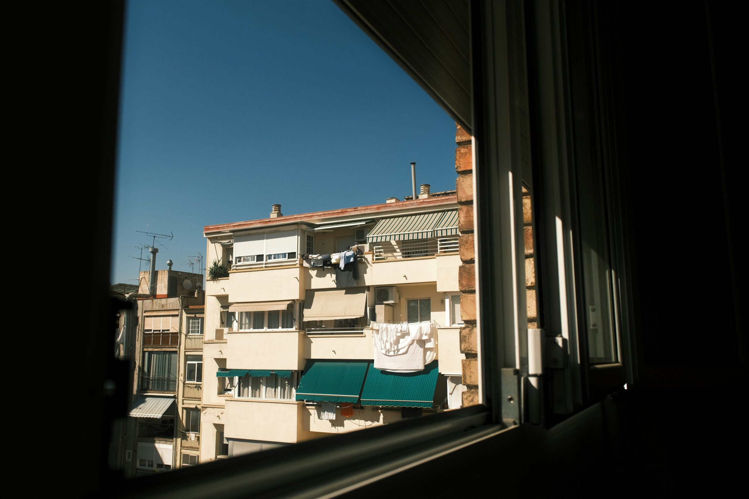 每日摄影鉴赏 2026-02-16